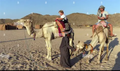 Bedouin Village Experience – Authentic Desert Culture Tour
