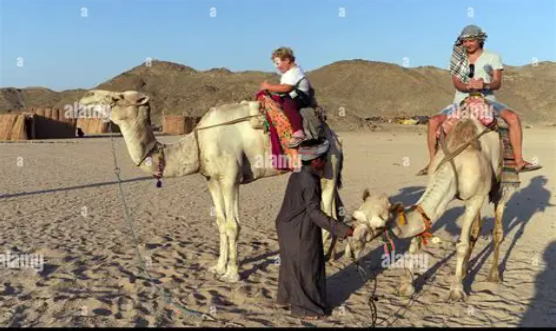 Bedouin Village Experience – Authentic Desert Culture Tour