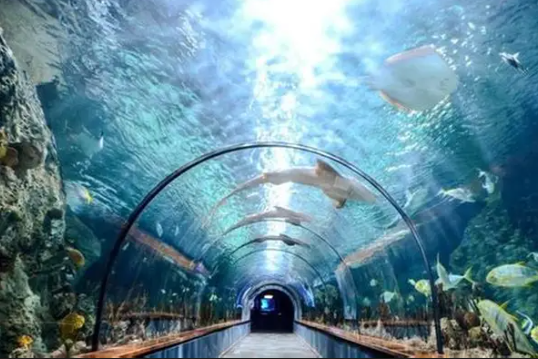 Hurghada Grand Aquarium – Red Sea Marine Life Experience